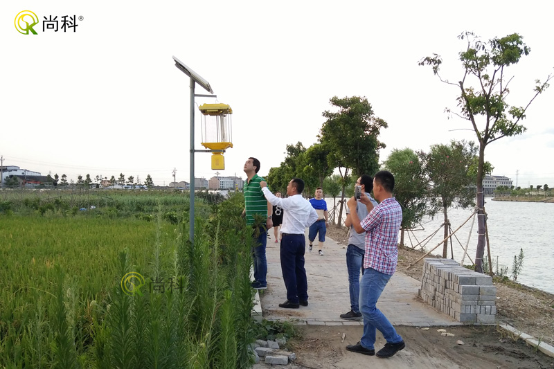 安徽水稻田太陽能殺蟲燈效果案例